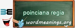 WordMeaning blackboard for poinciana regia